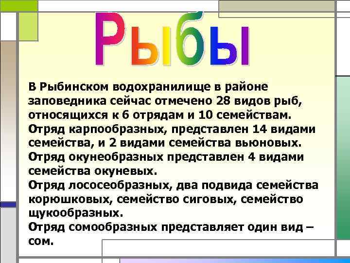В Рыбинском водохранилище в районе заповедника сейчас отмечено 28 видов рыб, относящихся к 6