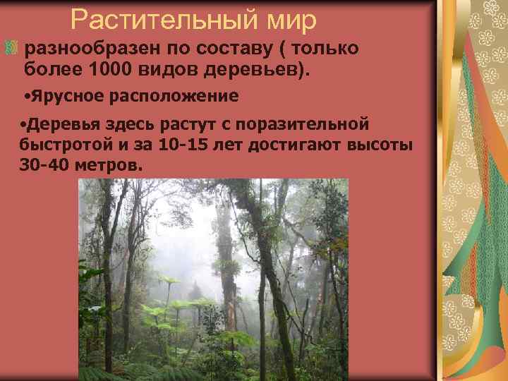 Растительный мир разнообразен по составу ( только более 1000 видов деревьев). • Ярусное расположение