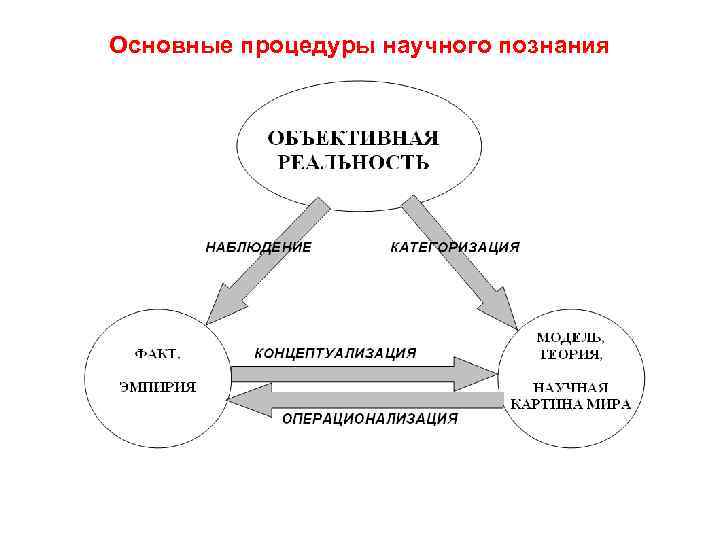 Основные процедуры научного познания 