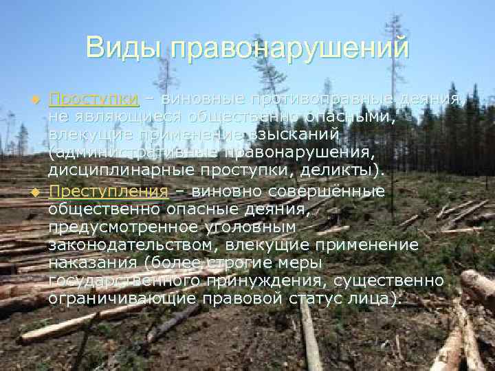 Виды правонарушений u u Проступки – виновные противоправные деяния, не являющиеся общественно опасными, влекущие