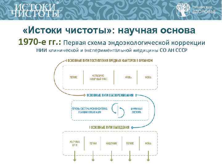  «Истоки чистоты» : научная основа 1970 -е гг. : Первая схема эндоэкологической коррекции