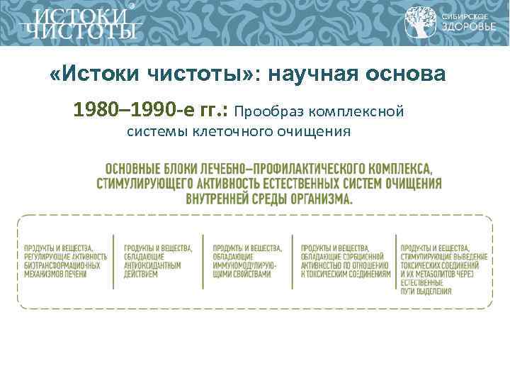  «Истоки чистоты» : научная основа 1980– 1990 -е гг. : Прообраз комплексной системы