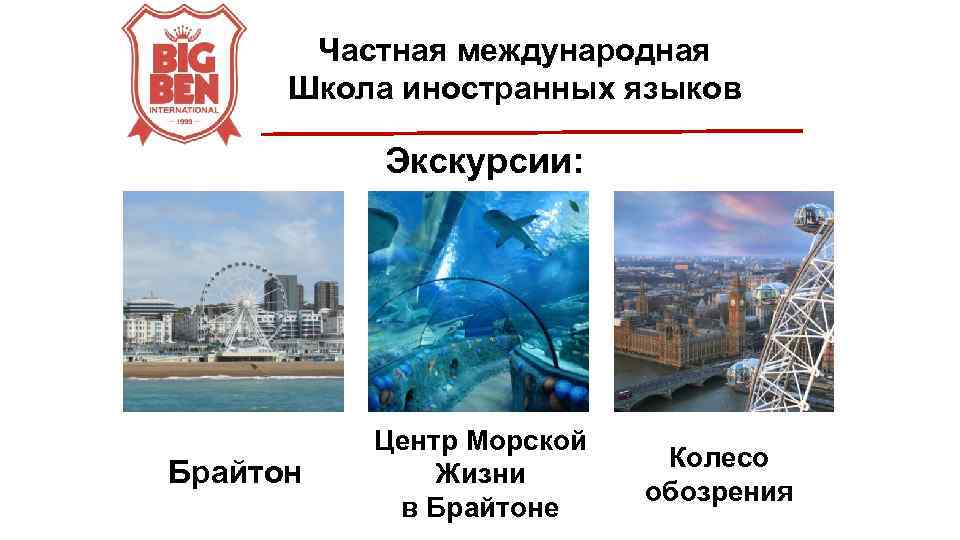 Частная международная Школа иностранных языков Экскурсии: Брайтон Центр Морской Жизни в Брайтоне Колесо обозрения