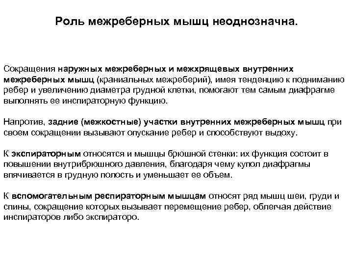 Роль межреберных мышц неоднозначна. Сокращения наружных межреберных и межхрящевых внутренних межреберных мышц (краниальных межреберий),