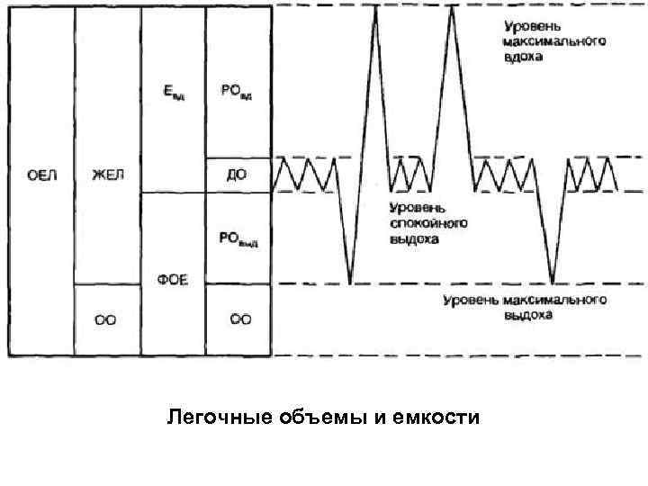 Легочные объемы схема