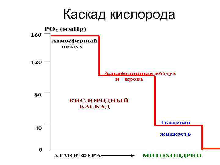 Каскад кислорода 