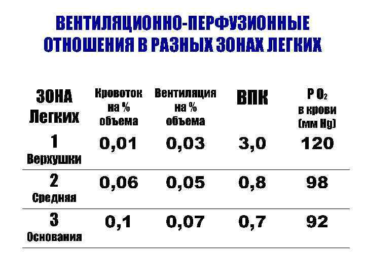 ВЕНТИЛЯЦИОННО-ПЕРФУЗИОННЫЕ ОТНОШЕНИЯ В РАЗНЫХ ЗОНАХ ЛЕГКИХ 