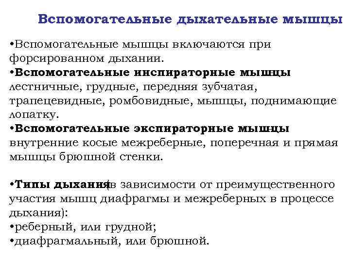 Вспомогательные мышцы. Мышцы выдоха основные и вспомогательные. Основные и вспомогательные дыхательные мышцы. Основные и вспомогательные инспираторные и экспираторные мышцы. Роль основных и вспомогательных дыхательных мышц.