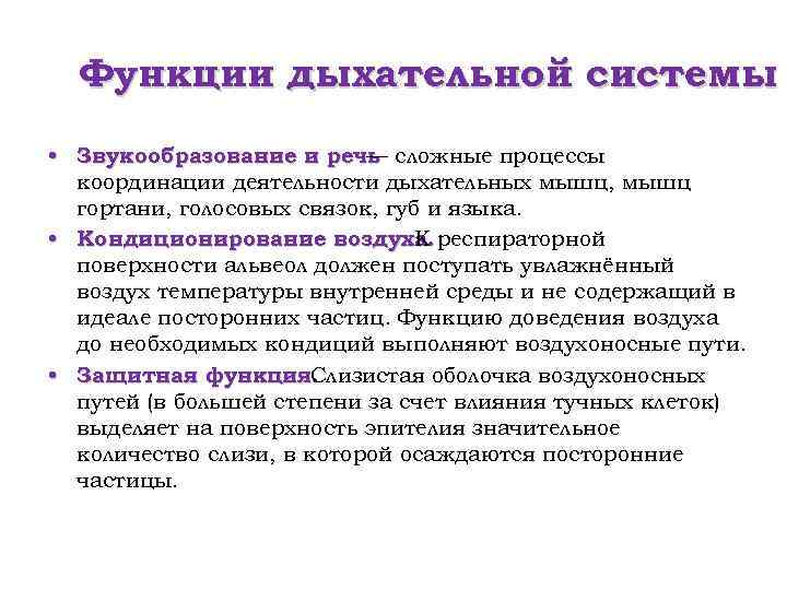 Функции дыхательной системы • Звукообразование и речь сложные процессы — координации деятельности дыхательных мышц,