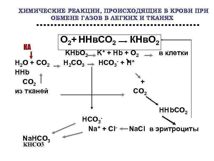 Химическая реакция процесса дыхания