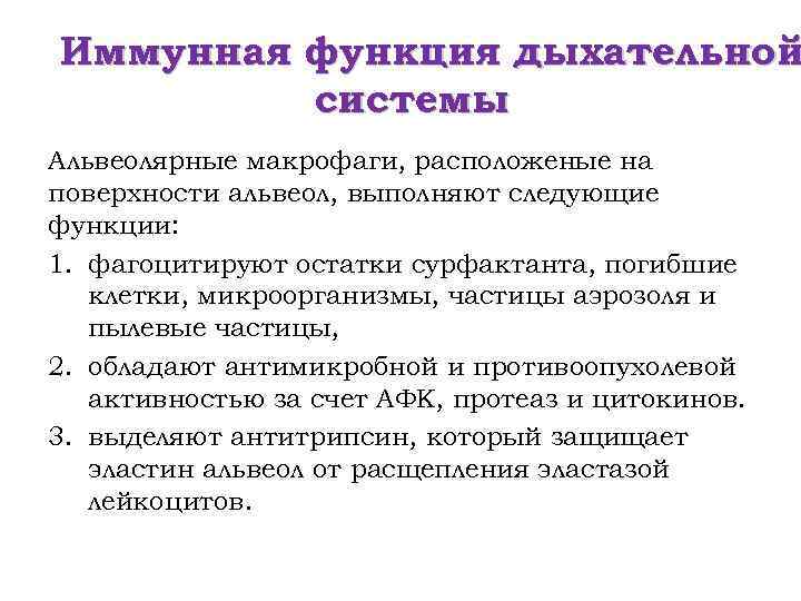 Иммунная функция дыхательной системы Альвеолярные макрофаги, расположеные на поверхности альвеол, выполняют следующие функции: 1.