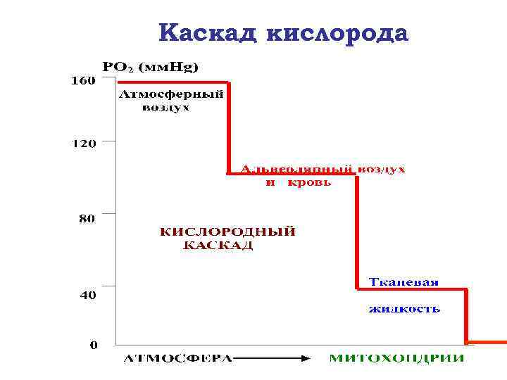 Каскад кислорода 