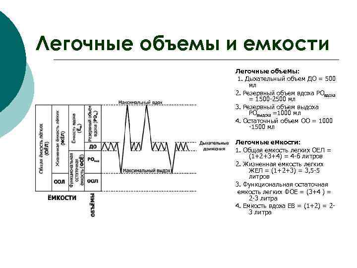 Легочные объемы и емкости Легочные объемы: 1. Дыхательный объем ДО = 500 мл 2.