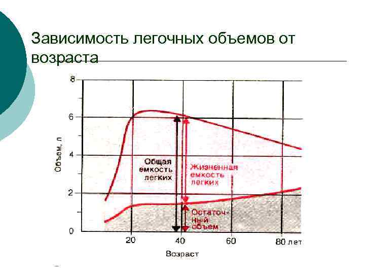 Зависимость легочных объемов от возраста 