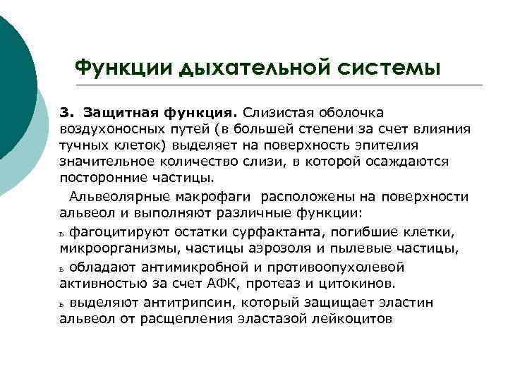 Функции дыхательной системы 3. Защитная функция. Слизистая оболочка воздухоносных путей (в большей степени за