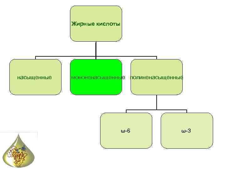 Жирные кислоты насыщенные мононенасыщенные полиненасыщенные ω-6 ω-3 