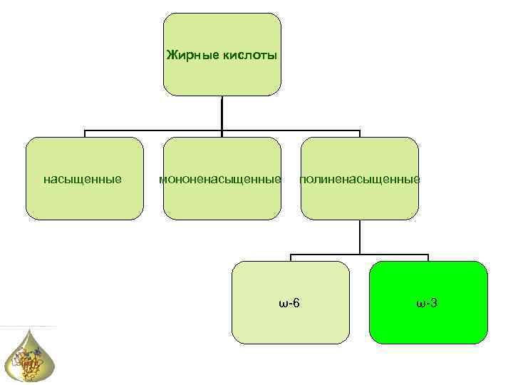 Жирные кислоты насыщенные мононенасыщенные полиненасыщенные ω-6 ω-3 