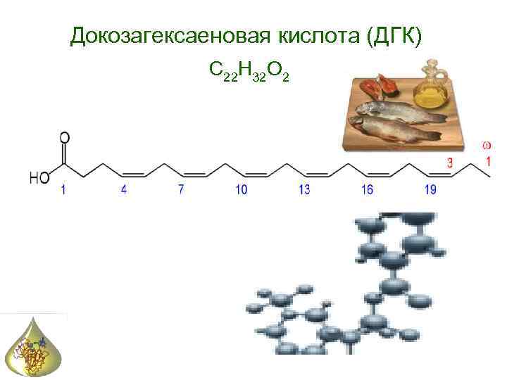 Докозагексаеновая кислота (ДГК) C 22 H 32 O 2 