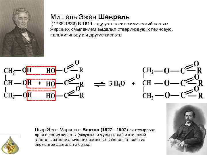 Мишель Эжен Шеврель (1786 -1889) В 1811 году установил химический состав жиров их омылением