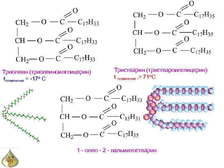 Триолеин (триолеиноилглицерин) tплавления = -17 о С Тристеарин (тристеароилглицерин) t плавления. = 71 о.