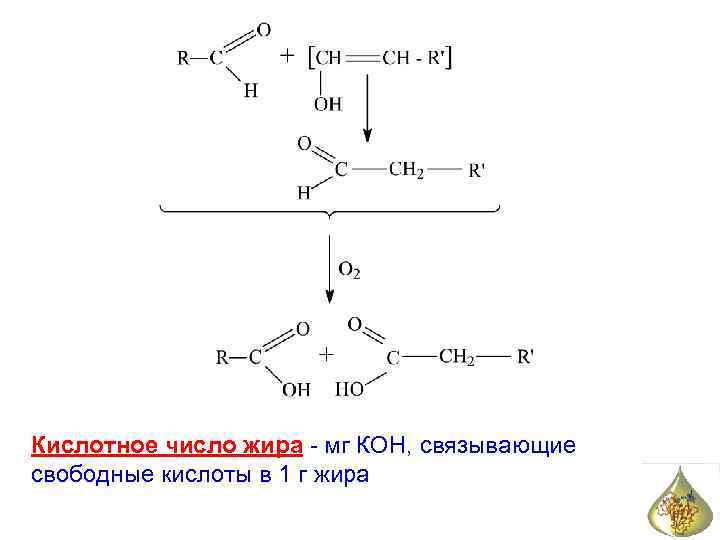 Кислотное число жира - мг КОН, связывающие свободные кислоты в 1 г жира 