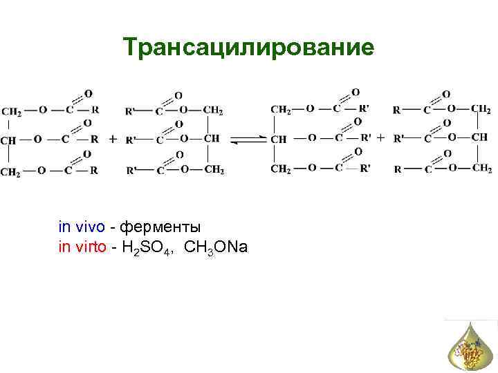 Трансацилирование in vivo - ферменты in virto - H 2 SO 4, CH 3