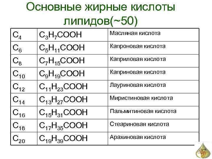 Основные жирные кислоты липидов(~50) С 4 C 3 H 7 COOH Масляная кислота С