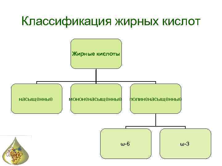 Классификация жирных кислот Жирные кислоты насыщенные мононенасыщенные полиненасыщенные ω-6 ω-3 