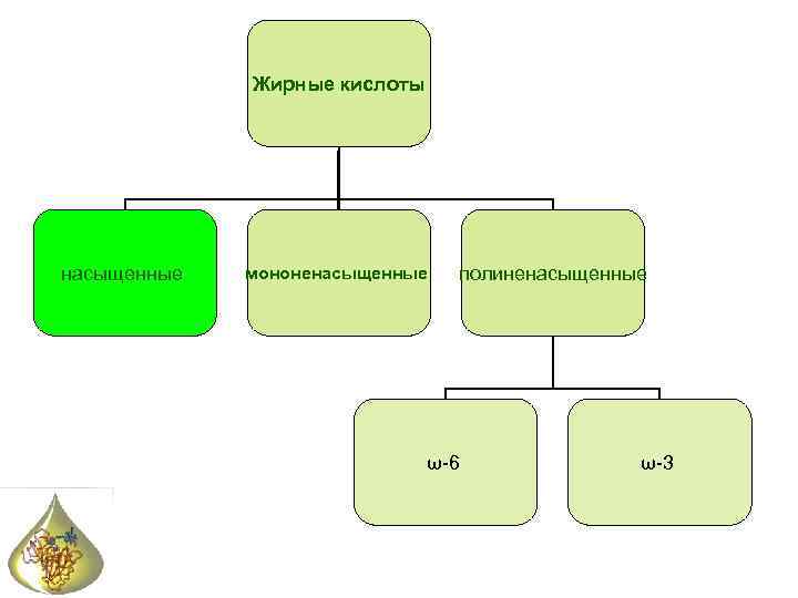 Жирные кислоты насыщенные мононенасыщенные полиненасыщенные ω-6 ω-3 