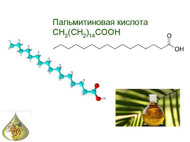 Пальмитиновая кислота CH 3(CH 2)14 COOH 