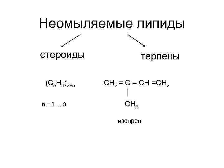 Неомыляемые липиды стероиды (С 5 Н 8)2+n n=0… 8 терпены CH 2 = C