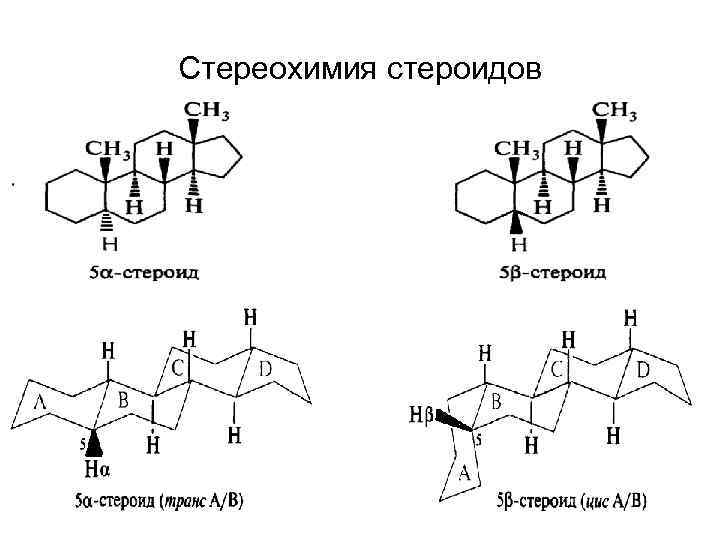 Стереохимия стероидов 