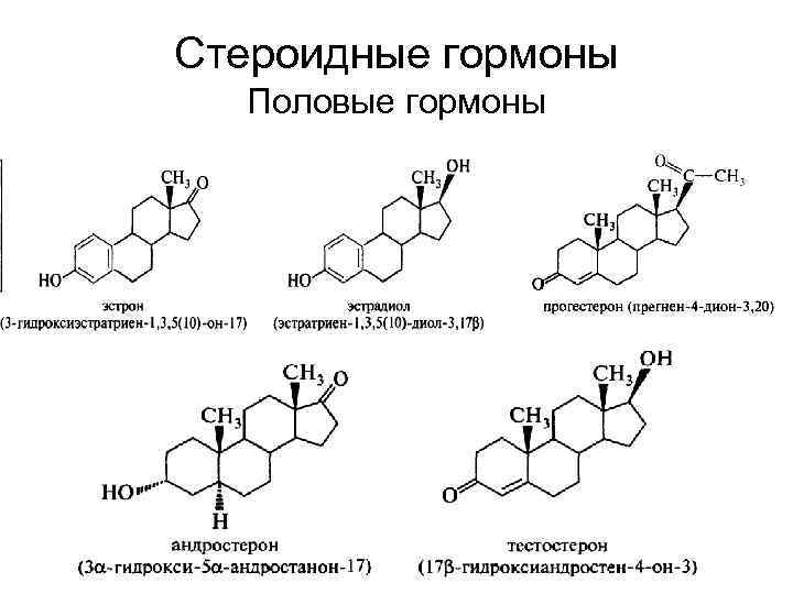 Стероидные гормоны Половые гормоны 