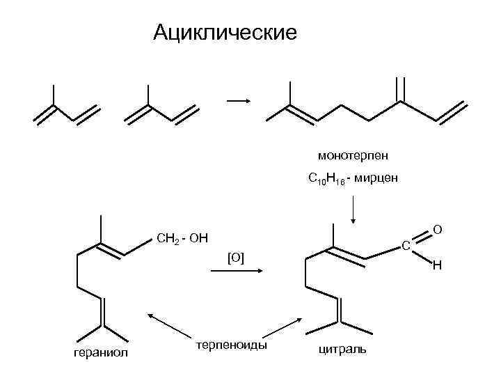 Ациклические монотерпен С 10 Н 16 - мирцен О СН 2 - ОН С