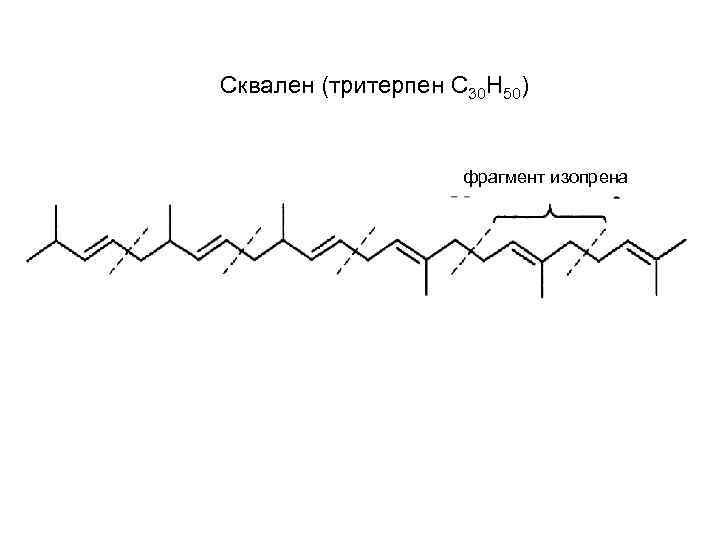 Сквален (тритерпен С 30 Н 50) фрагмент изопрена 