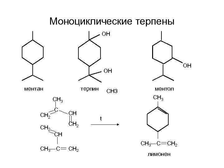 Моноциклические терпены ОН ОН ОН ментан терпин ментол СН 3 СН 2 СН 3