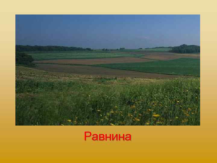 Равнина 
