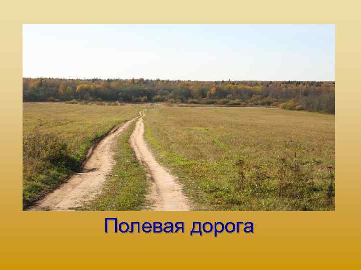 Полевая дорога 