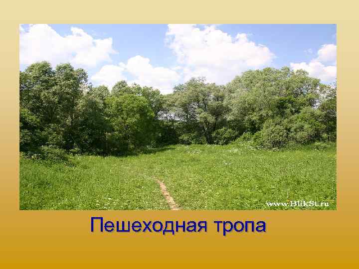 Пешеходная тропа 