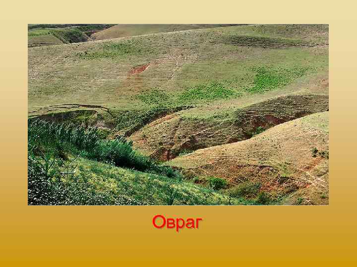 Овраг 