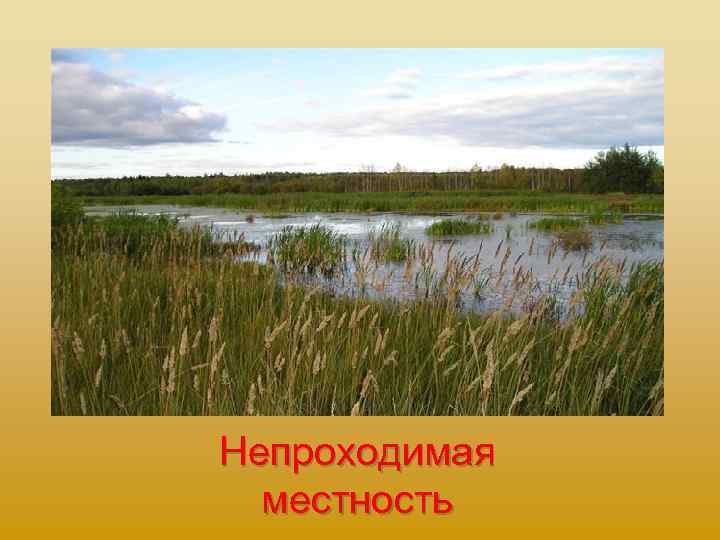 Непроходимая местность 
