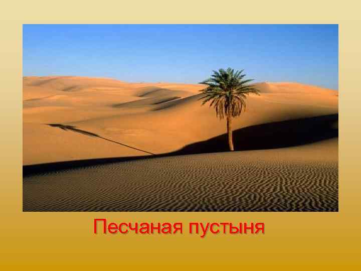 Песчаная пустыня 