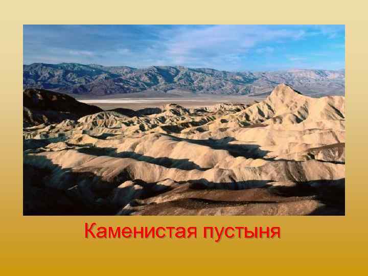 Каменистая пустыня 
