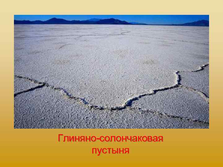 Глиняно солончаковая пустыня 
