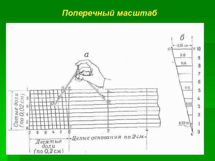 Поперечный масштаб 