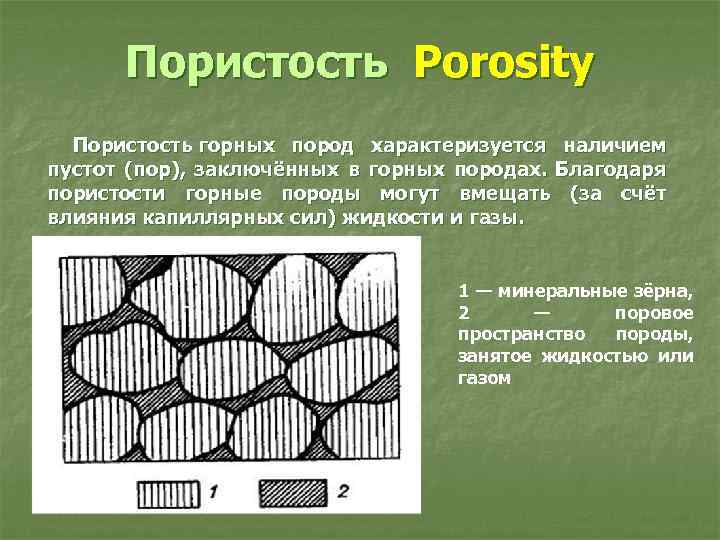 Виды пористости пород