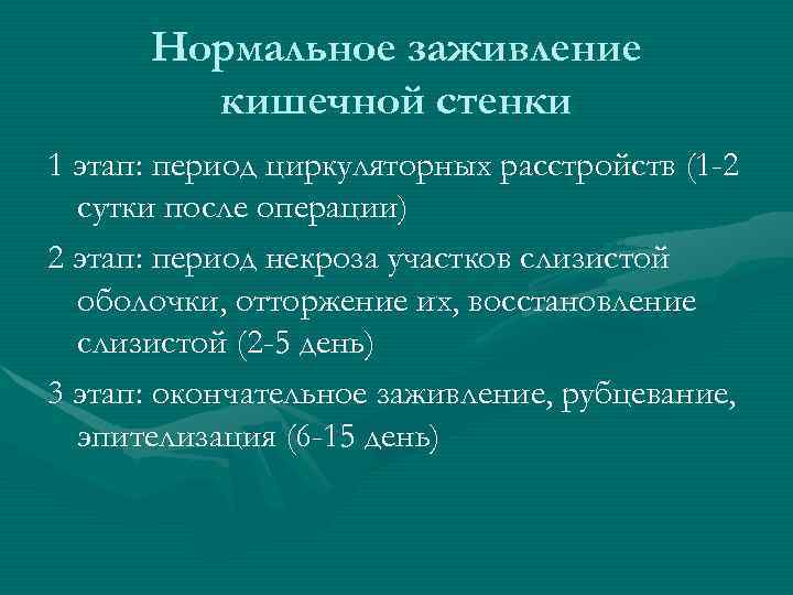 Нормальное заживление кишечной стенки 1 этап: период циркуляторных расстройств (1 -2 сутки после операции)