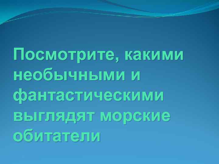Посмотрите, какими необычными и фантастическими выглядят морские обитатели 