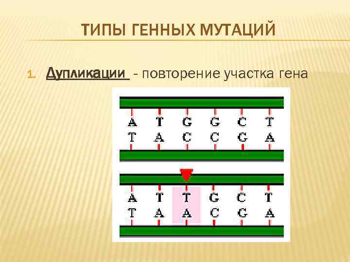 Рассмотрите рисунок определите какие виды мутаций изображены и впишите их названия в соответствии