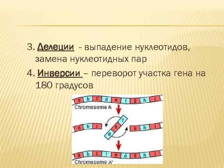 Замена одного нуклеотида генная. Делеция нуклеотида. Выпадение нуклеотида. Мутация выпадение нуклеотида. Инверсия генная мутация.